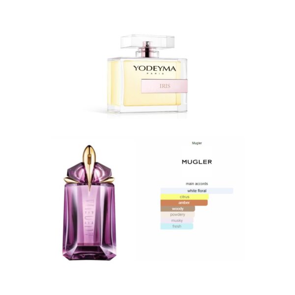 IRIS, Yodeyma EDP, YW-26