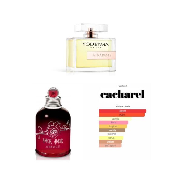 ATRAPAME, Yodeyma EDP, YW-6